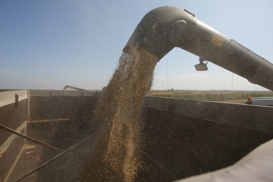 Russia Rice Harvest