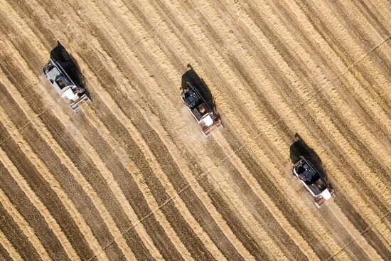 Russia Rice Harvest