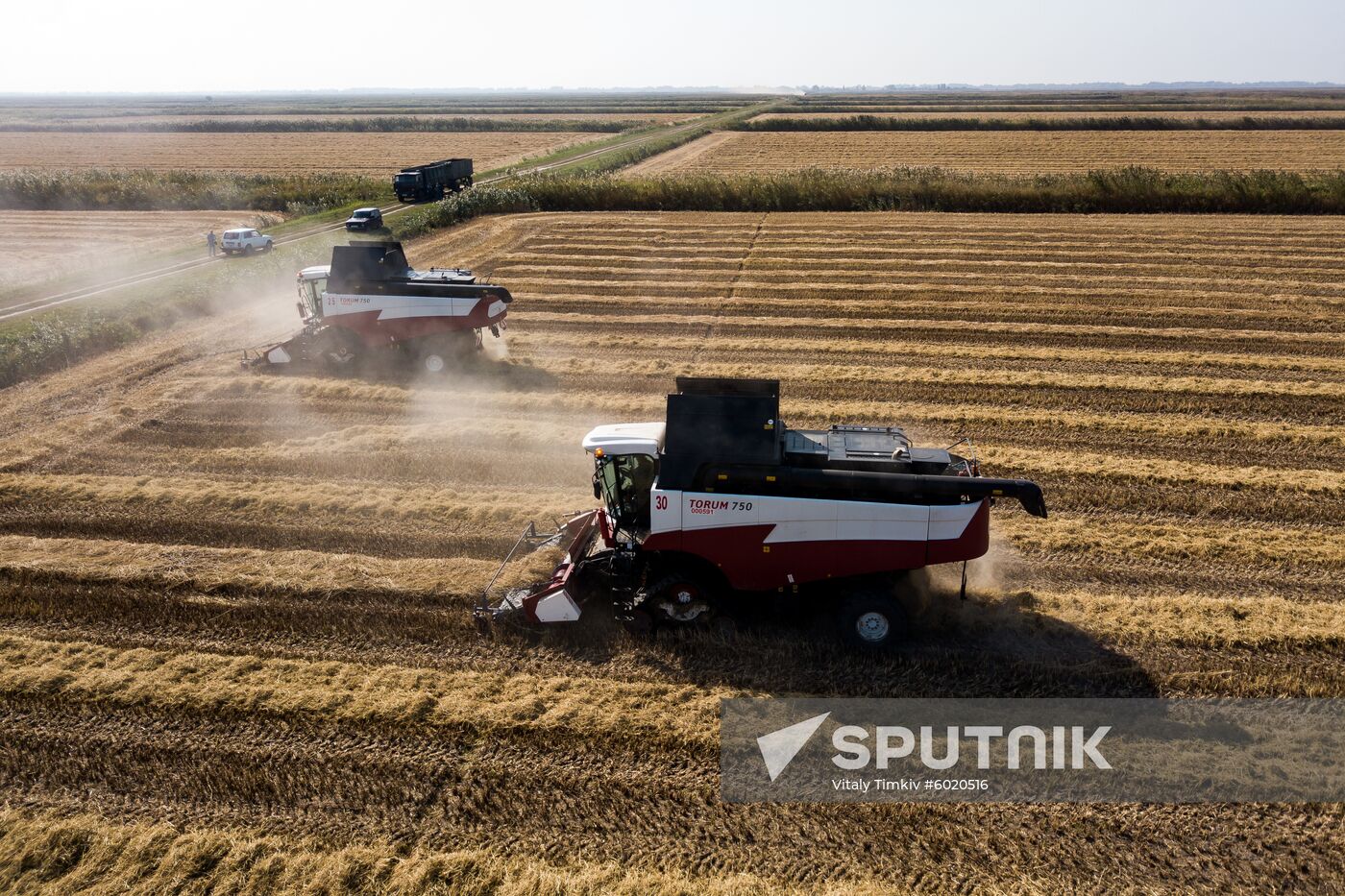 Russia Rice Harvest