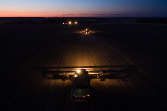 Russia Wheat Harvest