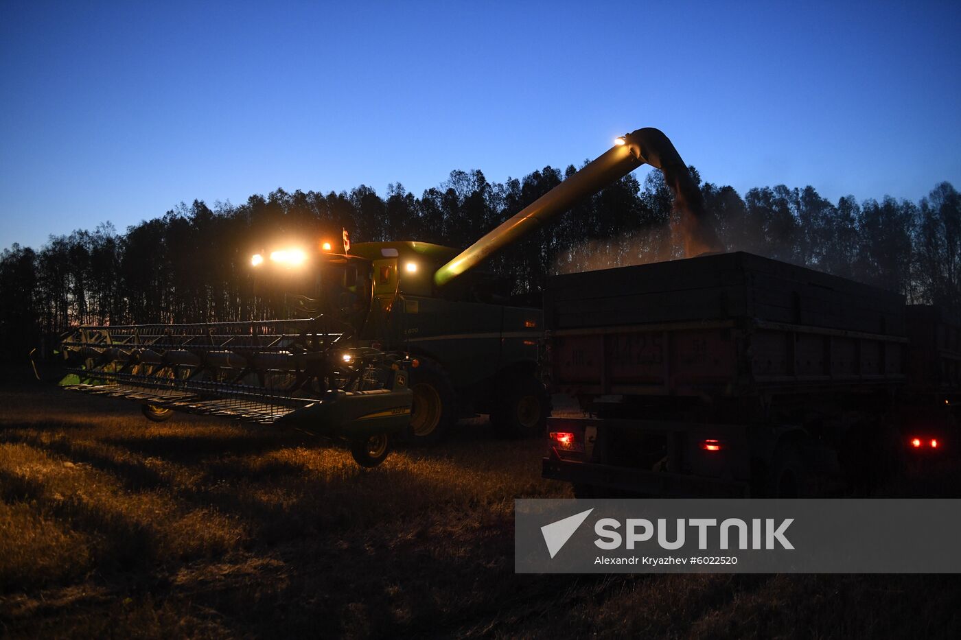 Russia Wheat Harvest