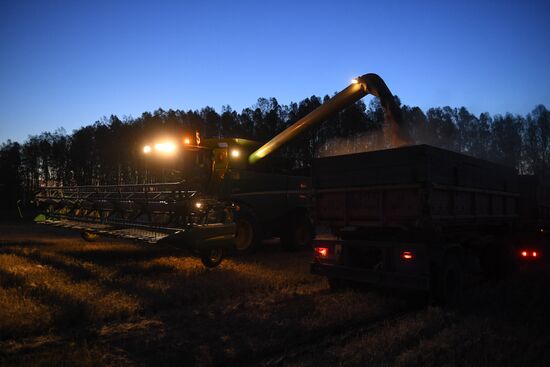 Russia Wheat Harvest