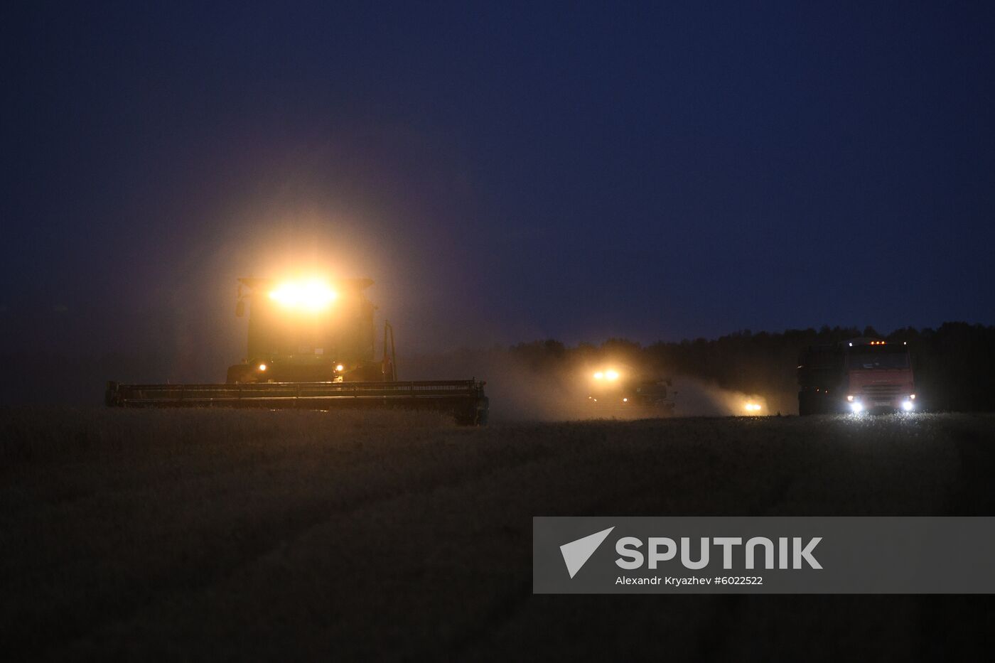 Russia Wheat Harvest