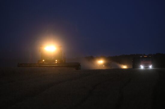 Russia Wheat Harvest