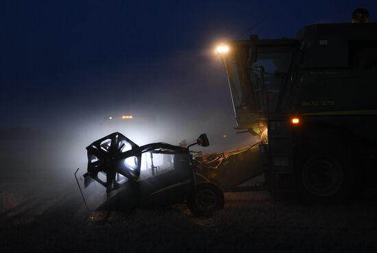 Russia Wheat Harvest