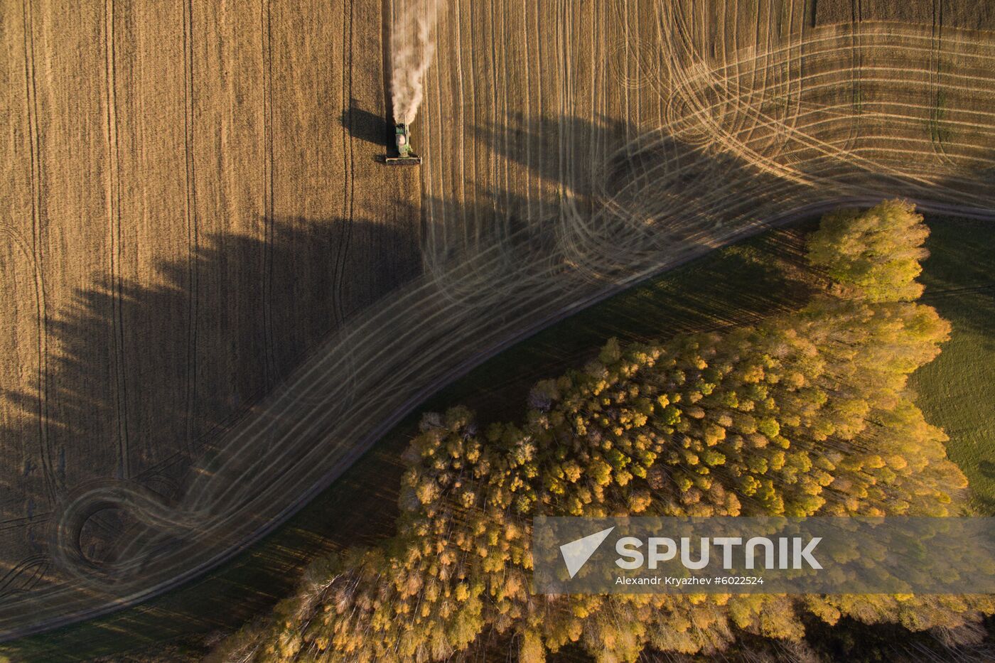 Russia Wheat Harvest