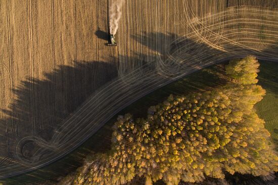 Russia Wheat Harvest