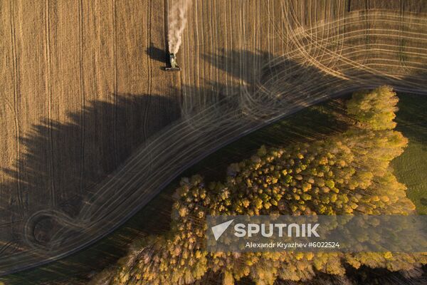 Russia Wheat Harvest