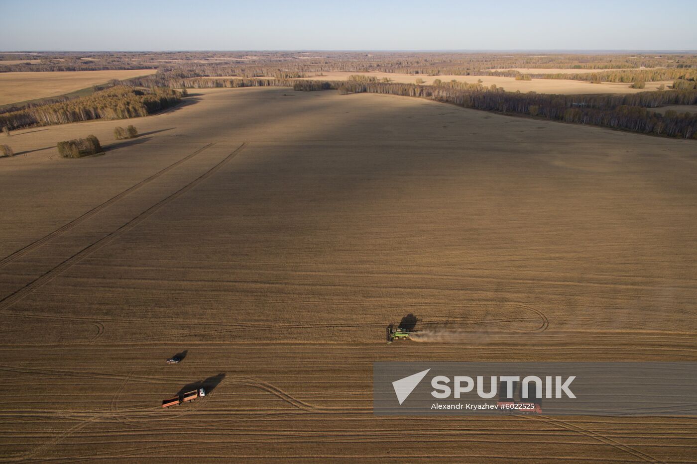 Russia Wheat Harvest