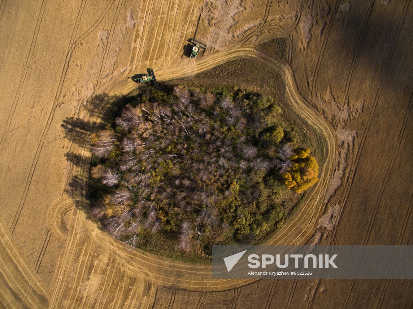 Russia Wheat Harvest