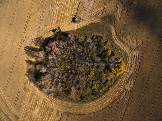Russia Wheat Harvest