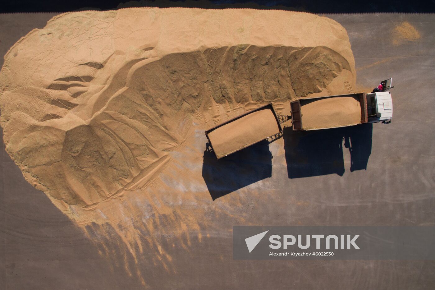 Russia Wheat Harvest