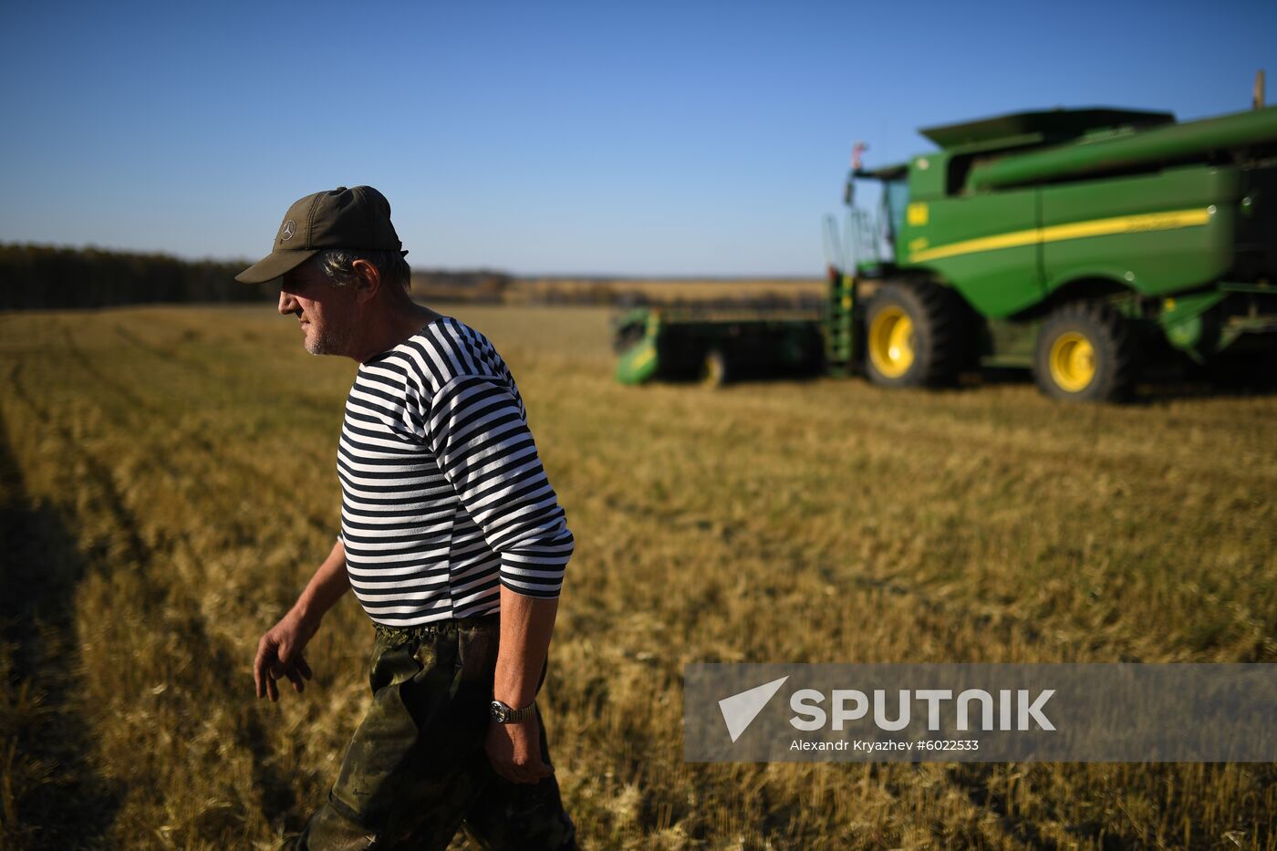 Russia Wheat Harvest