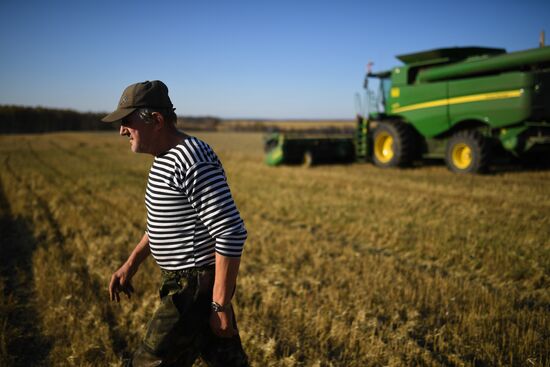 Russia Wheat Harvest