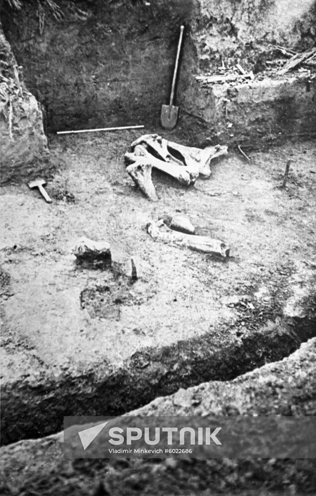 Upper Paleolithic site of Sunghir in Vladimir