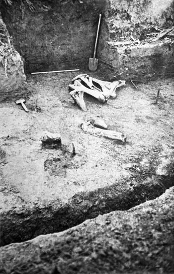 Upper Paleolithic site of Sunghir in Vladimir