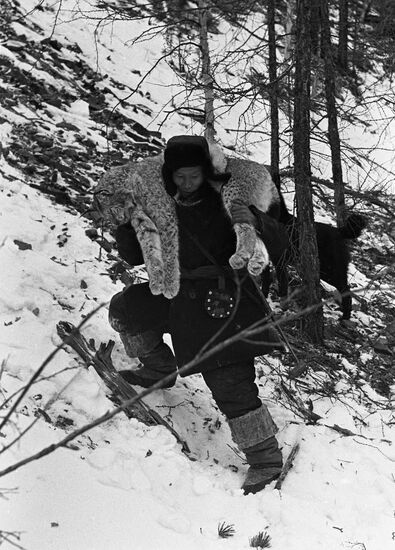 Taiga hunter