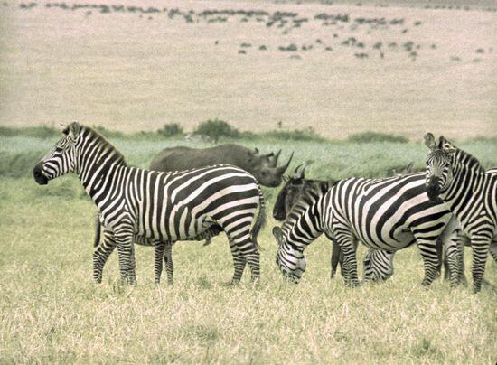 Still from documentary Stories of Tanganyika