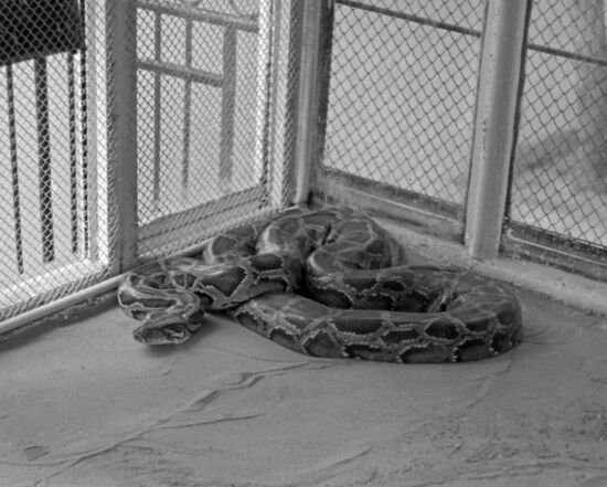 Moscow Zoo