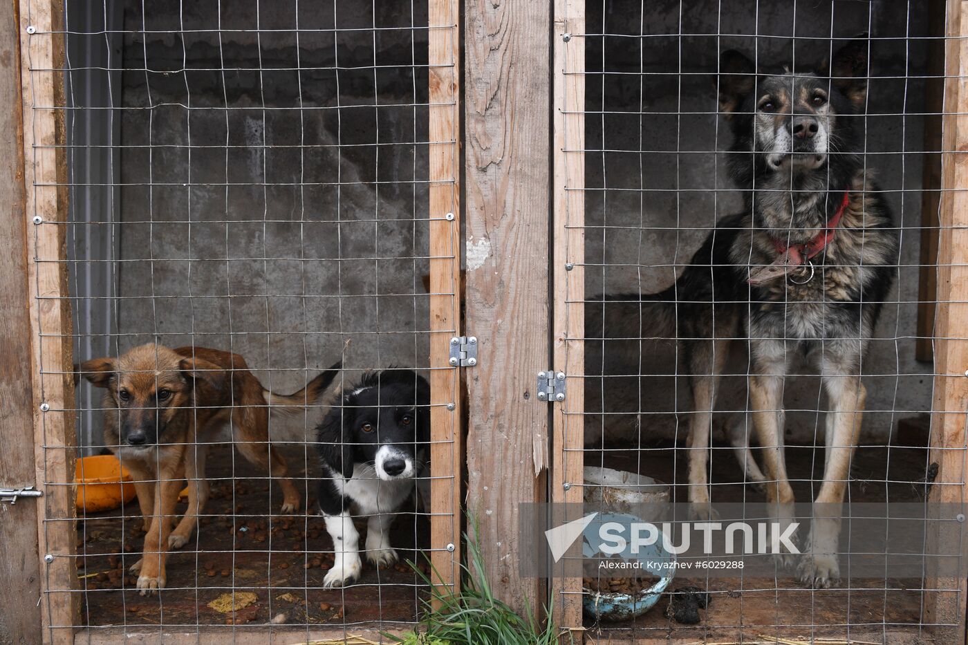 Russia Floods Aftermath