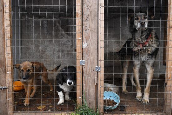 Russia Floods Aftermath 