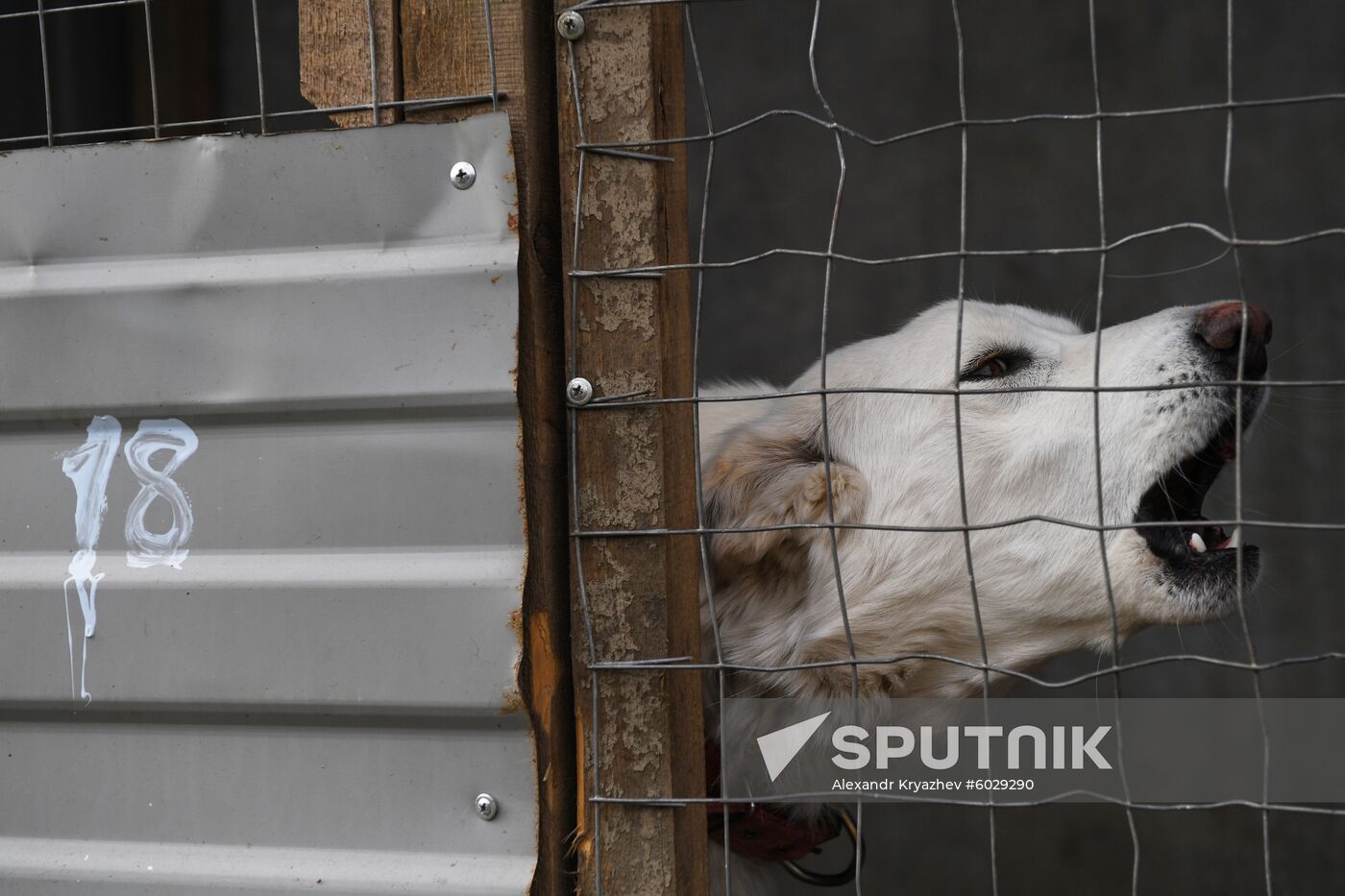 Russia Floods Aftermath 