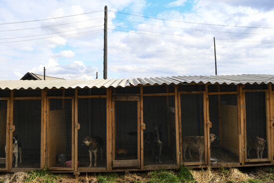 Russia Floods Aftermath 
