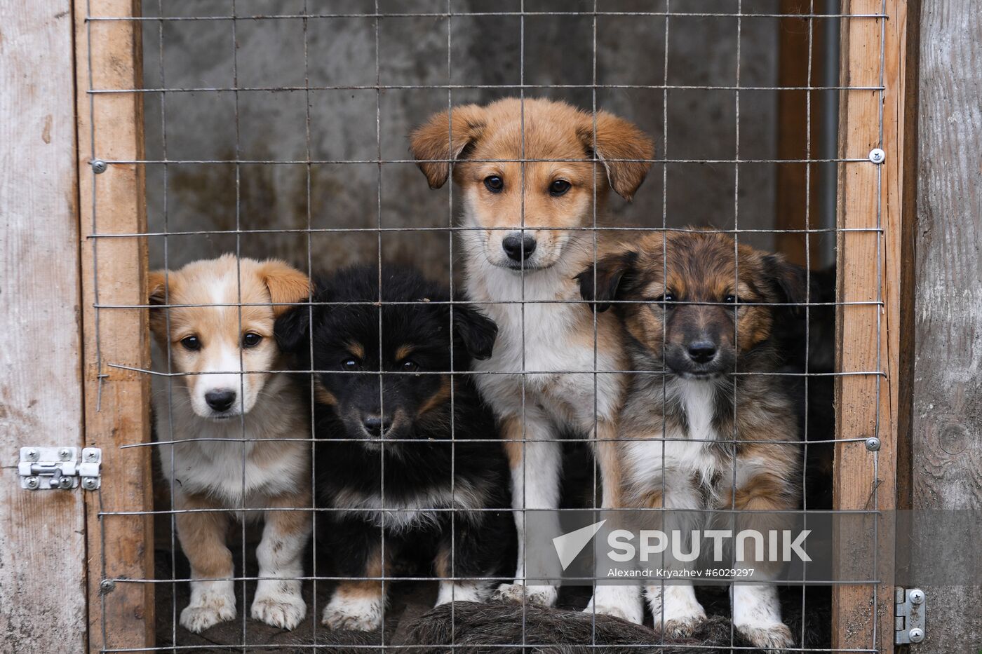 Russia Floods Aftermath 