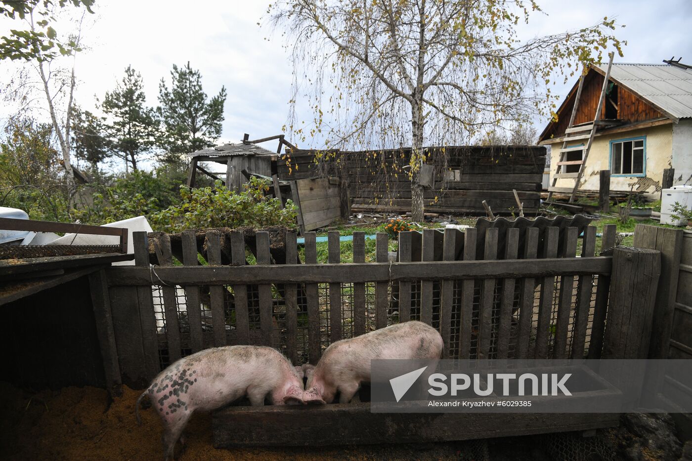 Russia Floods Aftermath