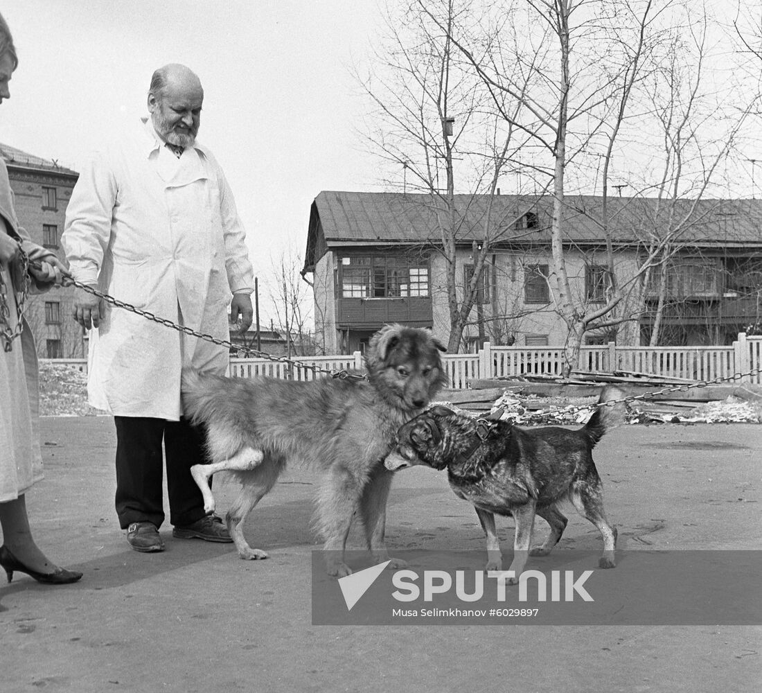 Experimental surgeon Anastasy Lapchinsky