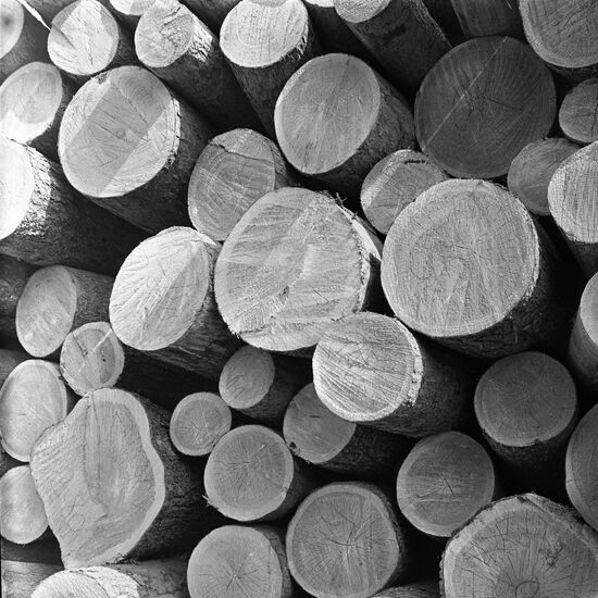 Siberian timber before shipment