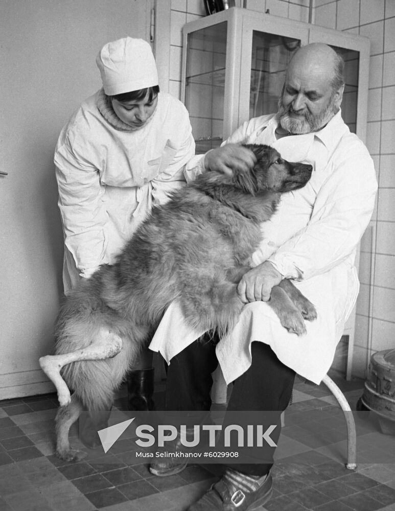 Experimental surgeon Anastasy Lapchinsky