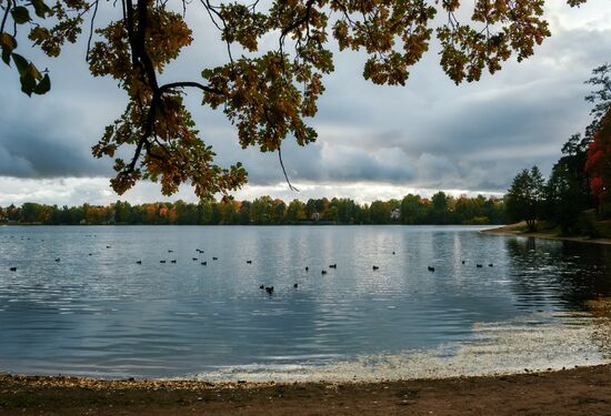 Russia Autumn