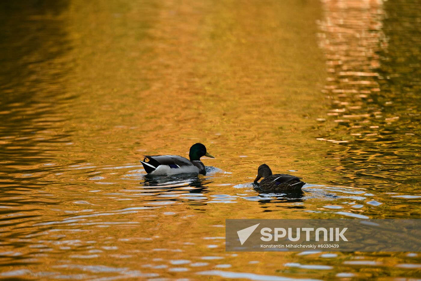 Russia Autumn