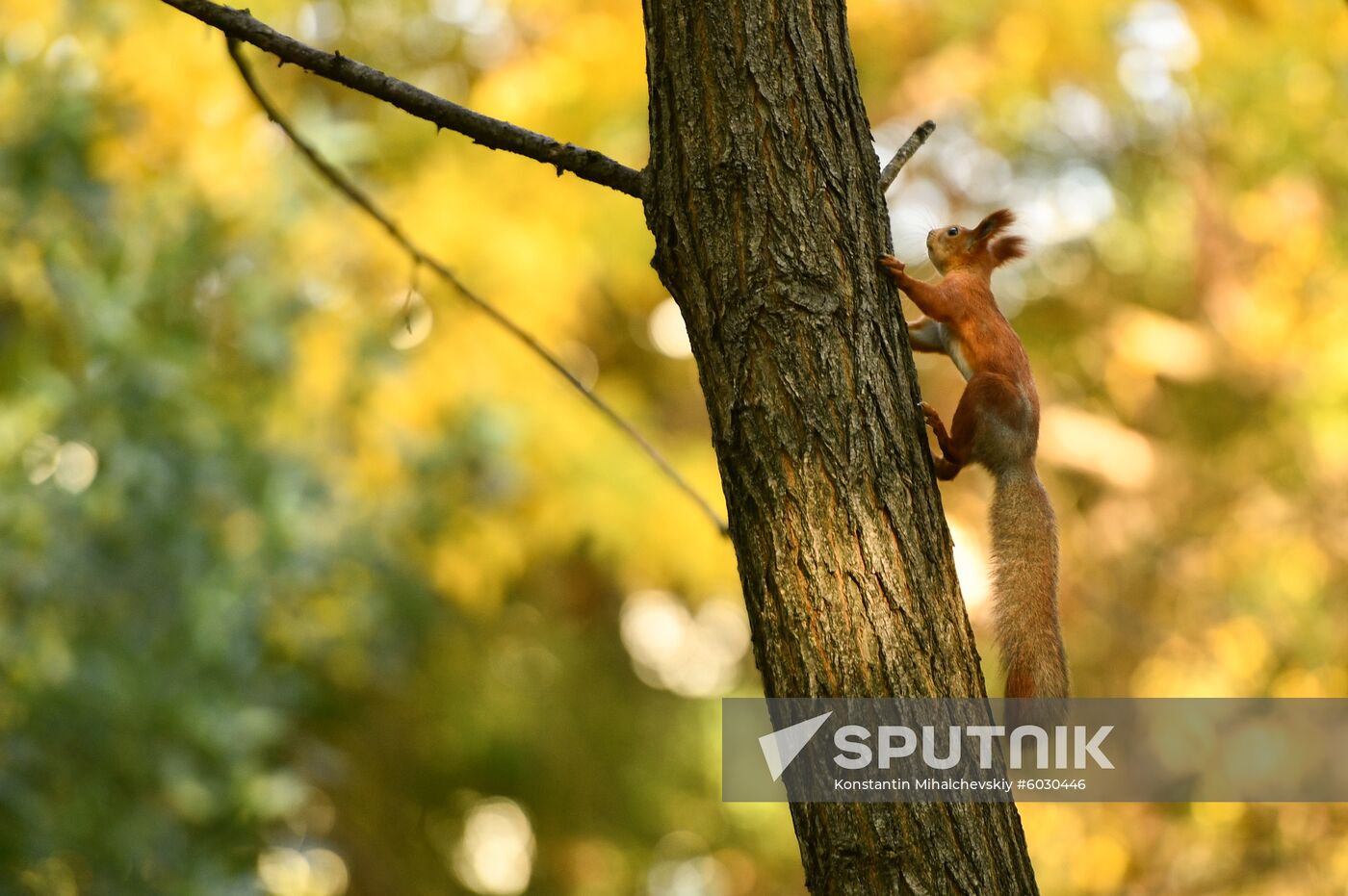 Russia Autumn