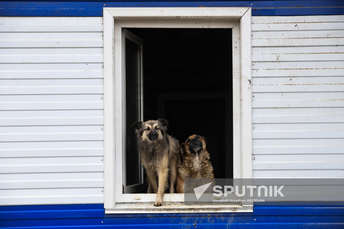 Russia Floods Aftermath