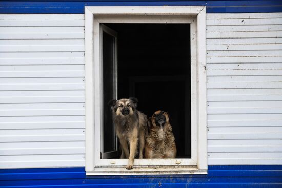 Russia Floods Aftermath