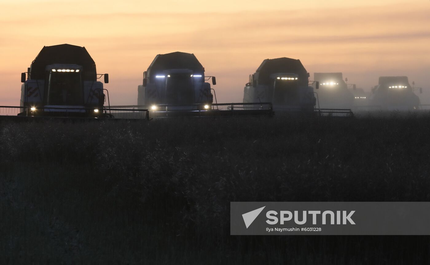 Russia Rapeseed Harvest