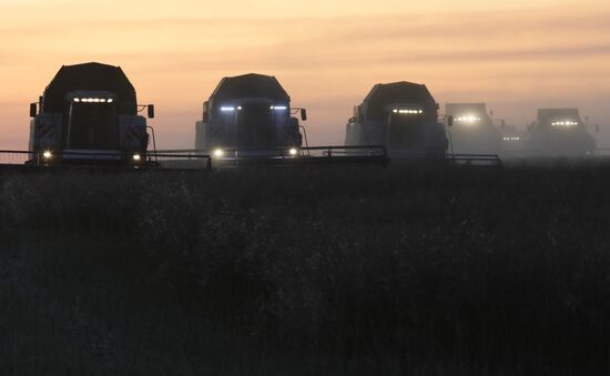 Russia Rapeseed Harvest