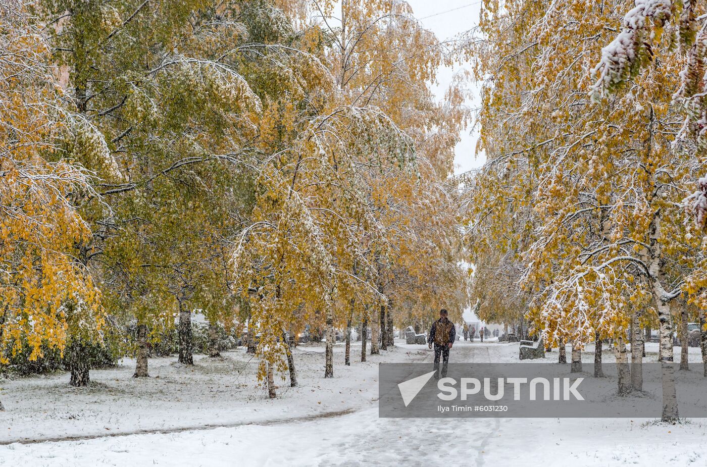 Russia Snowfall