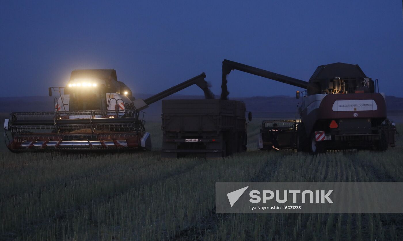 Russia Rapeseed Harvest
