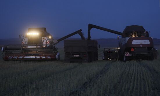 Russia Rapeseed Harvest