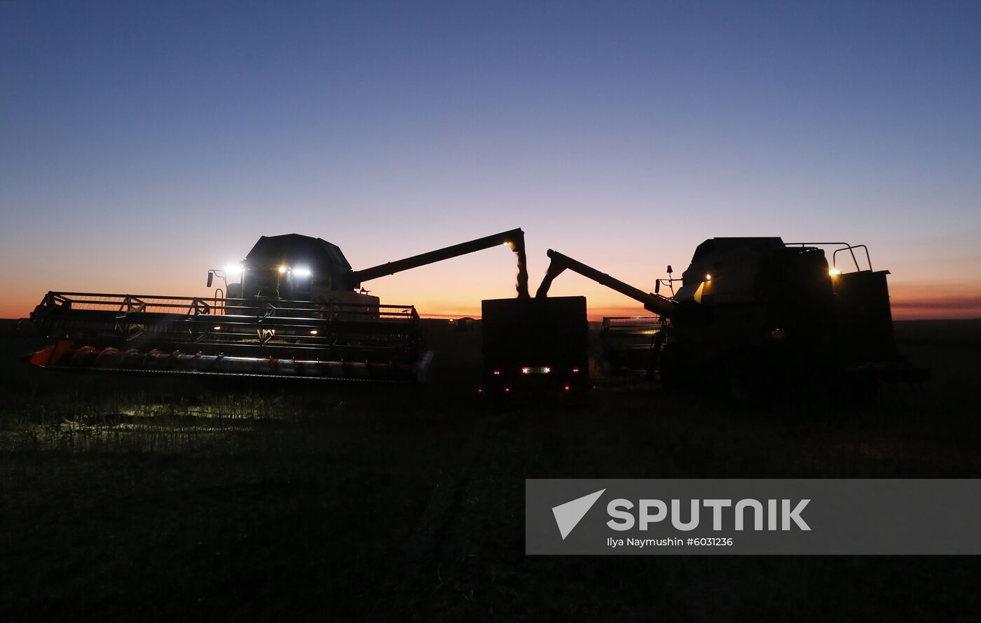Russia Rapeseed Harvest