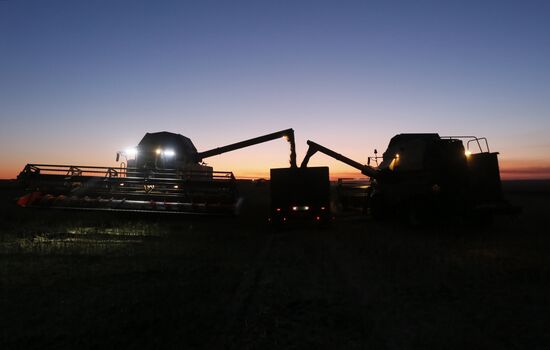 Russia Rapeseed Harvest