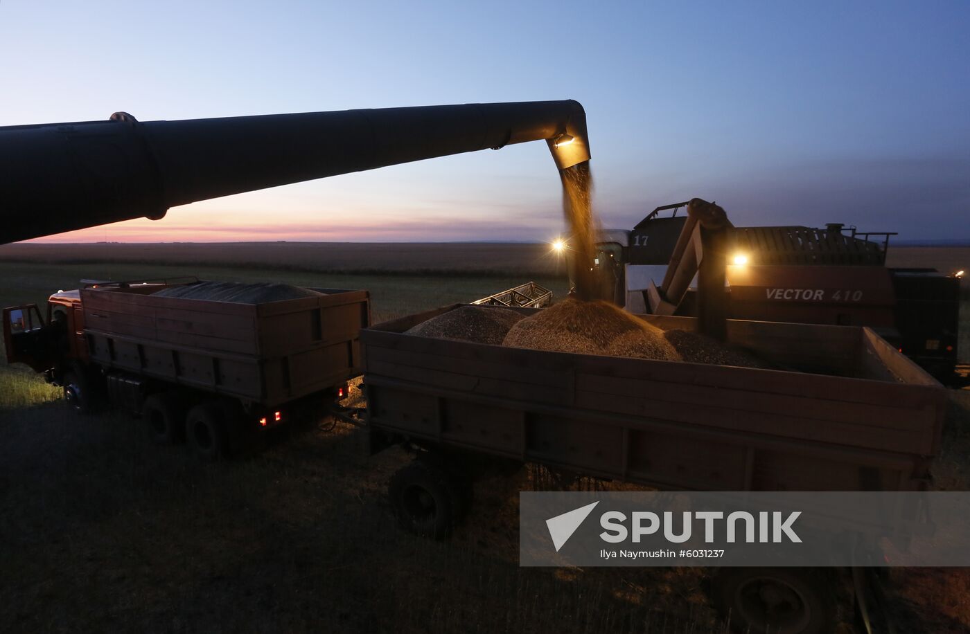 Russia Rapeseed Harvest