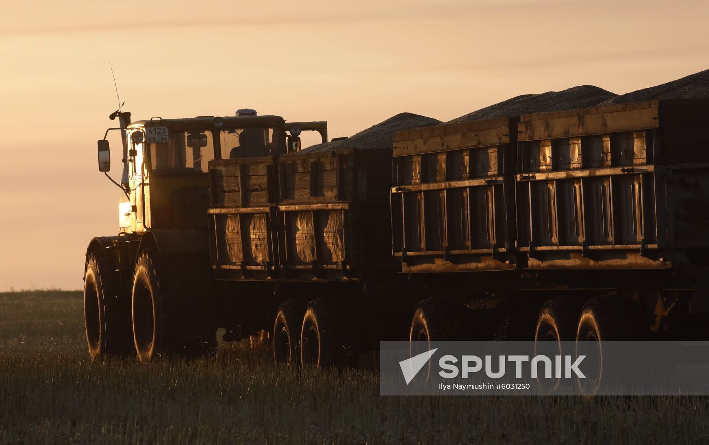 Russia Rapeseed Harvest