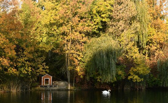 Russia Autumn