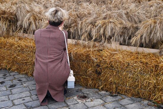 Russia Harvest Festival