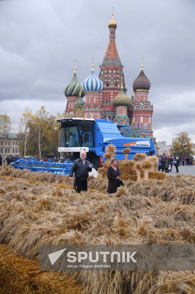 Russia Harvest Festival