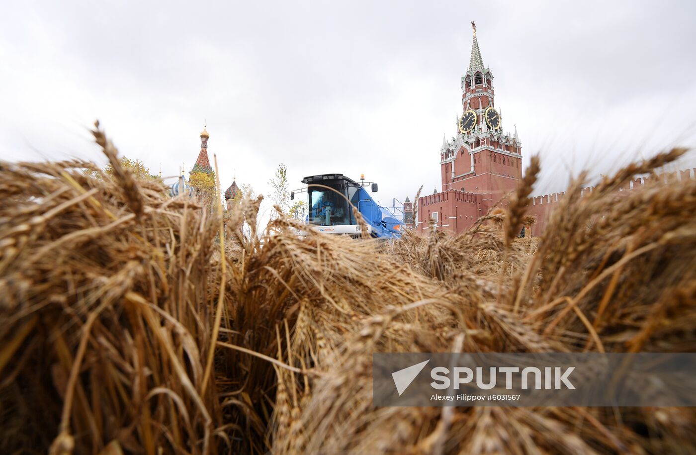 Russia Harvest Festival